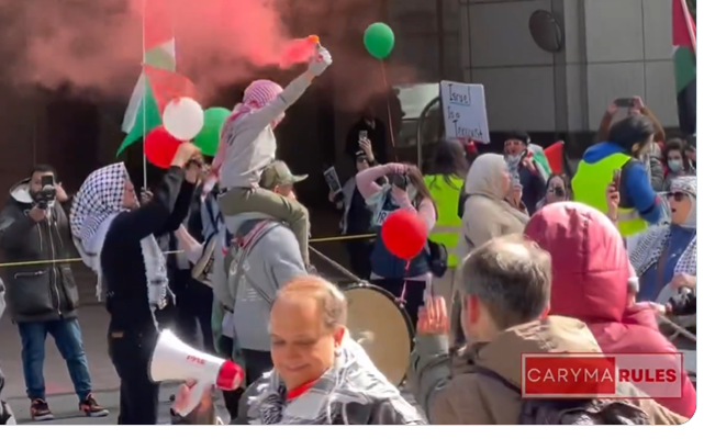 Pro-Palestinian activists in US, Canada celebrate Iran’s attacks on Israel, yell ‘Hands off Iran’