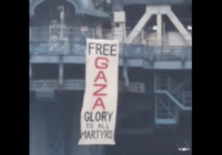 free gaza brooklyn bridge