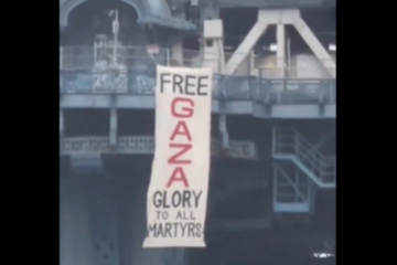 free gaza brooklyn bridge
