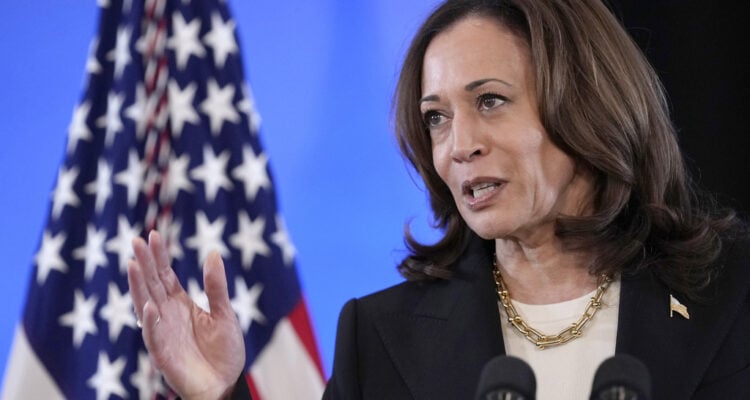 After meeting with Hamas rape victim, Kamala Harris alludes to allegations of sexual abuse against Gazans