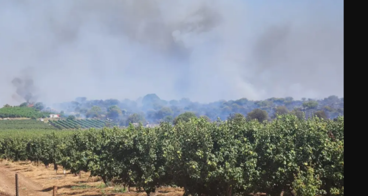 ‘Years of work destroyed’ – Hezbollah drone explodes in winery
