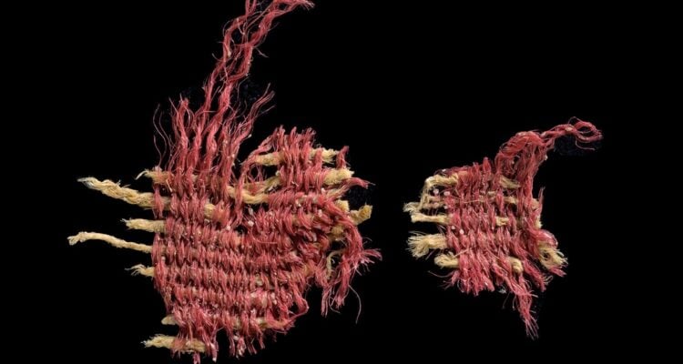 Biblical scarlet dye, 3,800 years old, discovered in Judean Desert