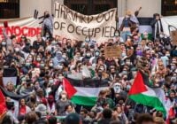 harvard anti-israel protests