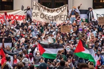 harvard anti-israel protests