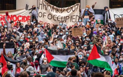 harvard anti-israel protests