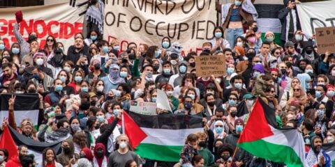 harvard anti-israel protests