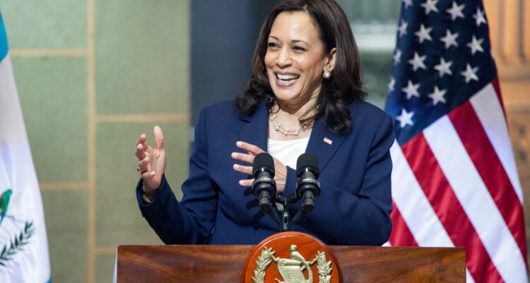 Anti-Israel group works to ensure Kamala loses election in key swing states