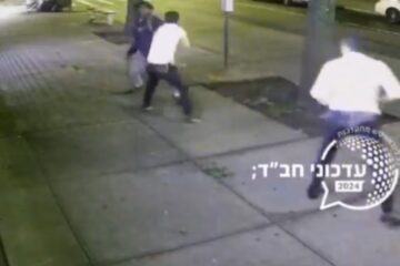 crown heights stabbing