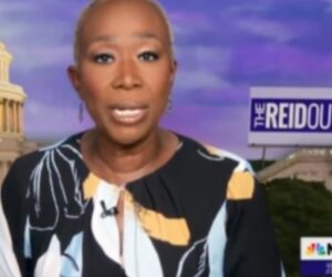 joy reid