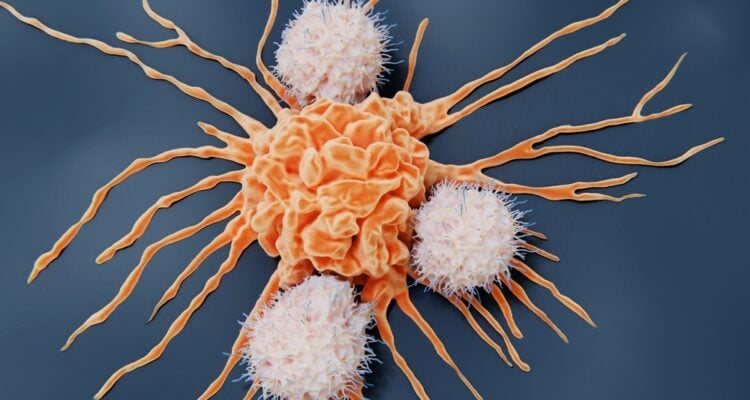 Israeli scientists develop technique to boost immune system, kill cancer cells