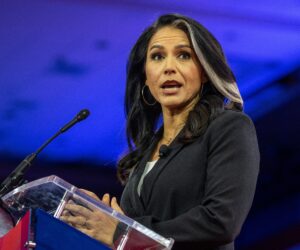 Tulsi Gabbard