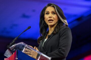 Tulsi Gabbard