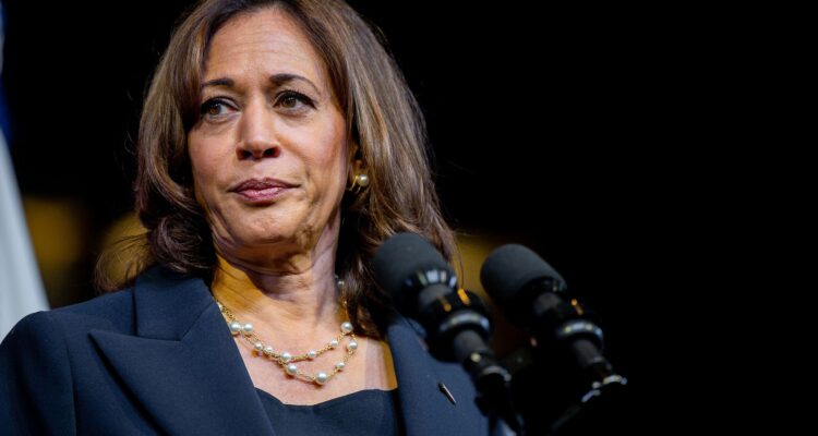 Kamala Harris vows to ‘do everything’ possible to end Gaza war, secure Palestinian statehood