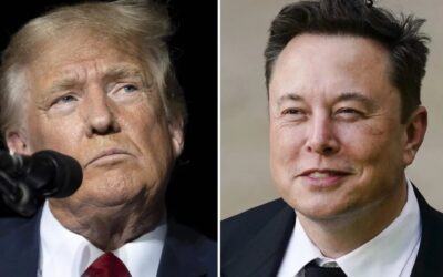 trump musk
