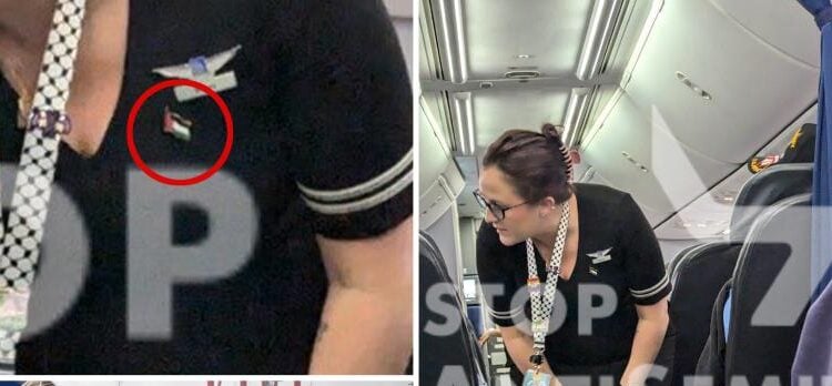 United Airlines defends staff’s pro-terror pins as ‘pride’