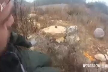 hezbollah go pro