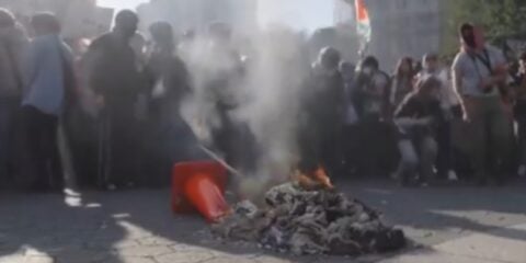 hamas supporters burn pigs head