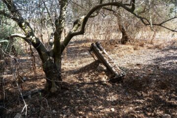 hezbollah mortar