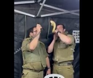 idf shofar lebanon