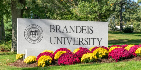 Brandeis University