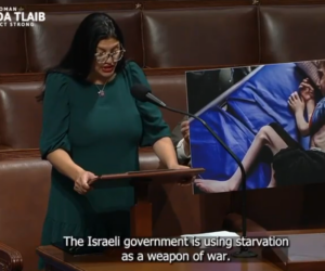 tlaib starving