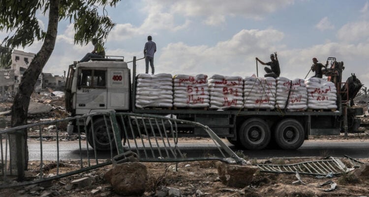 Amid mass looting, UN halts aid shipments to Gaza through main Israeli crossing