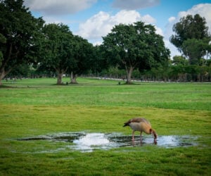 Ramat Gan National Park