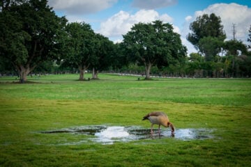 Ramat Gan National Park