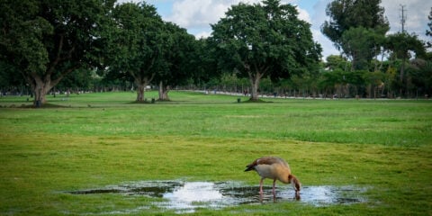 Ramat Gan National Park