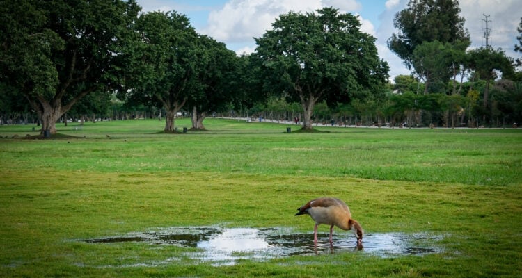 Israel begins reopening northern national parks after year-long closure