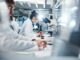 Medical researchers