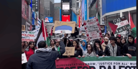 anti-Israel protesters at Times Square on New Year's Day Jan 2025 (TikTok screenshot)