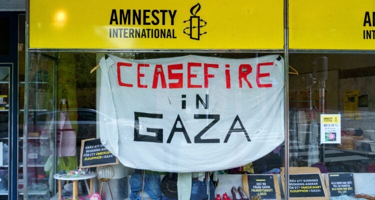 Amnesty International suspends Israeli branch for two years