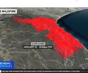 wildfire map