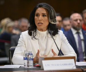 Tulsi Gabbard