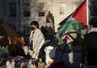 harvard gaza