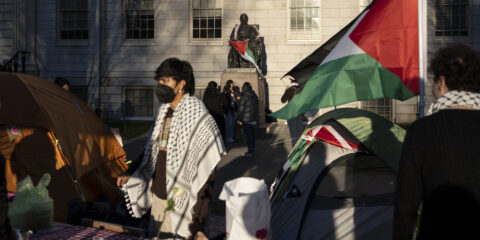 harvard gaza