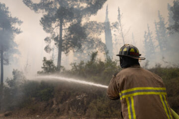 Firefighter