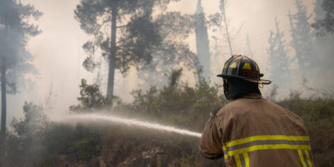 Firefighter