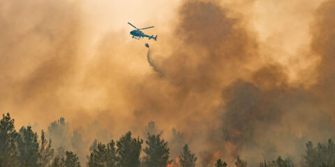 Jerusalem area fires