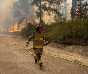 wildfires