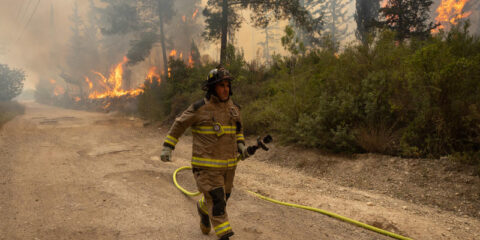 wildfires