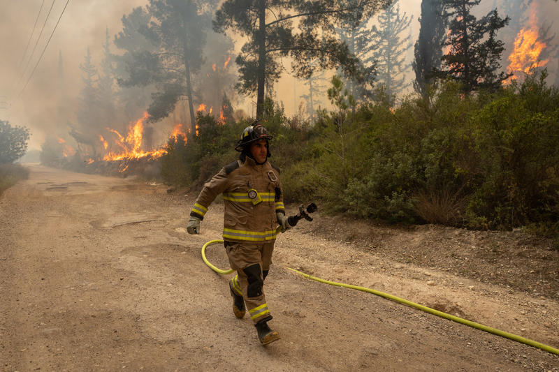 wildfires