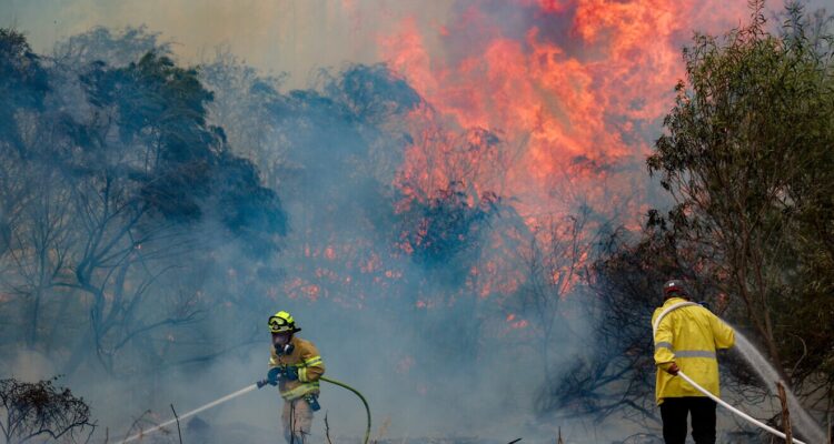 Israel unprepared for wildfires as risks grow, comptroller warns