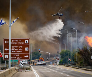 wildfire