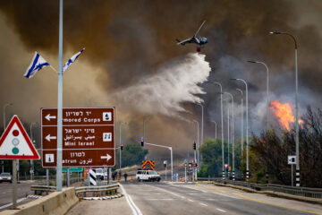 wildfire