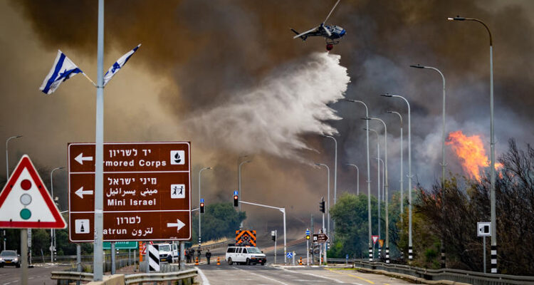 After the flames: Jerusalem forests show signs of recovery