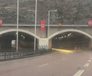 Nazi flags Sweden