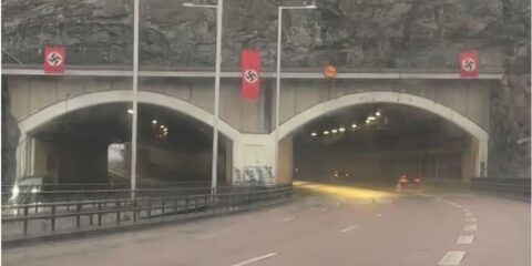 Nazi flags Sweden