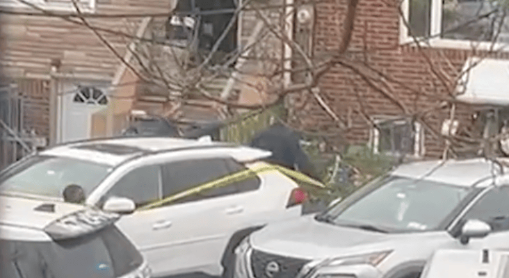 NYPD cops shoot assailant who attacked children with a meat cleaver